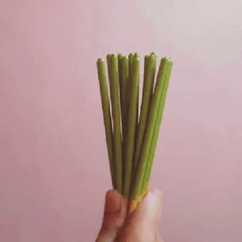 ماكينة غمس في الشكولاتة